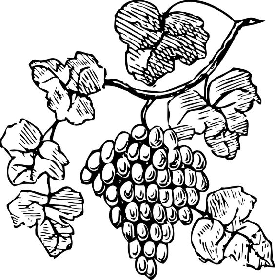 Grape Vine Clip Art Free | Grapes clip art - vector clip art online, royalty