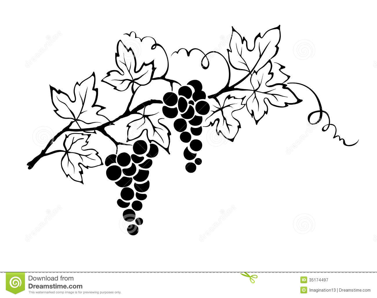 Grape vines, Clip art and .