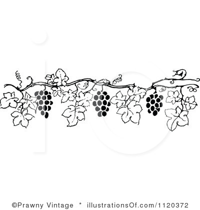 Grape vines, Clip art and .