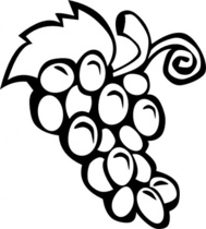 grapes vine clipart - Clip Art Grapes