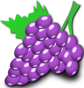Grapes clip art at vector clip art image