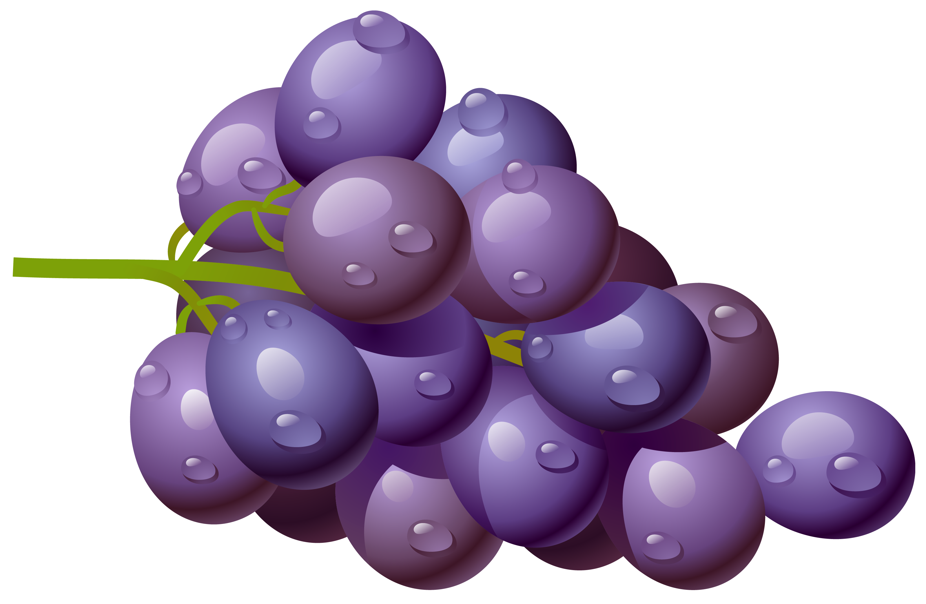 Grapes clip art at vector cli - Grape Clip Art