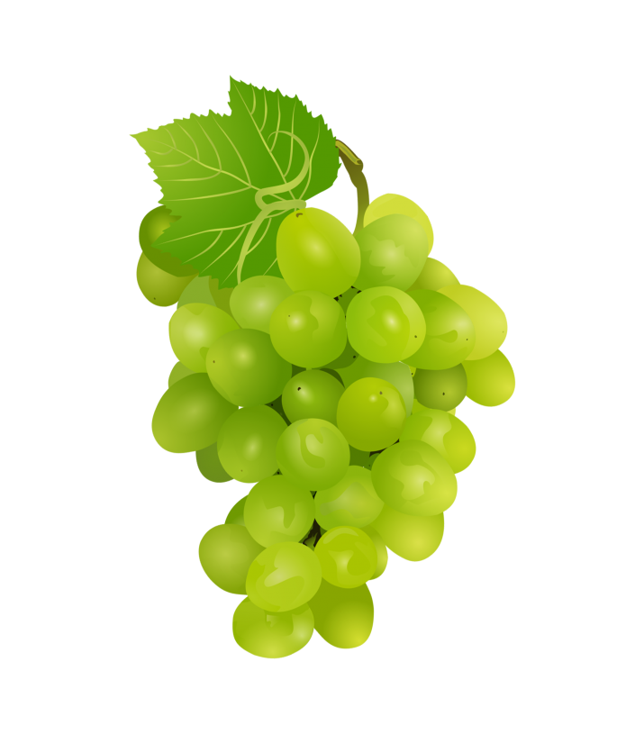 Grapes Clipart Free | Clipart