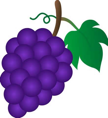 Purple Grapes Clipart Free Cl