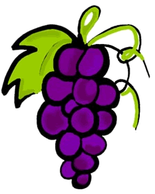 Purple grapes clipart free cl