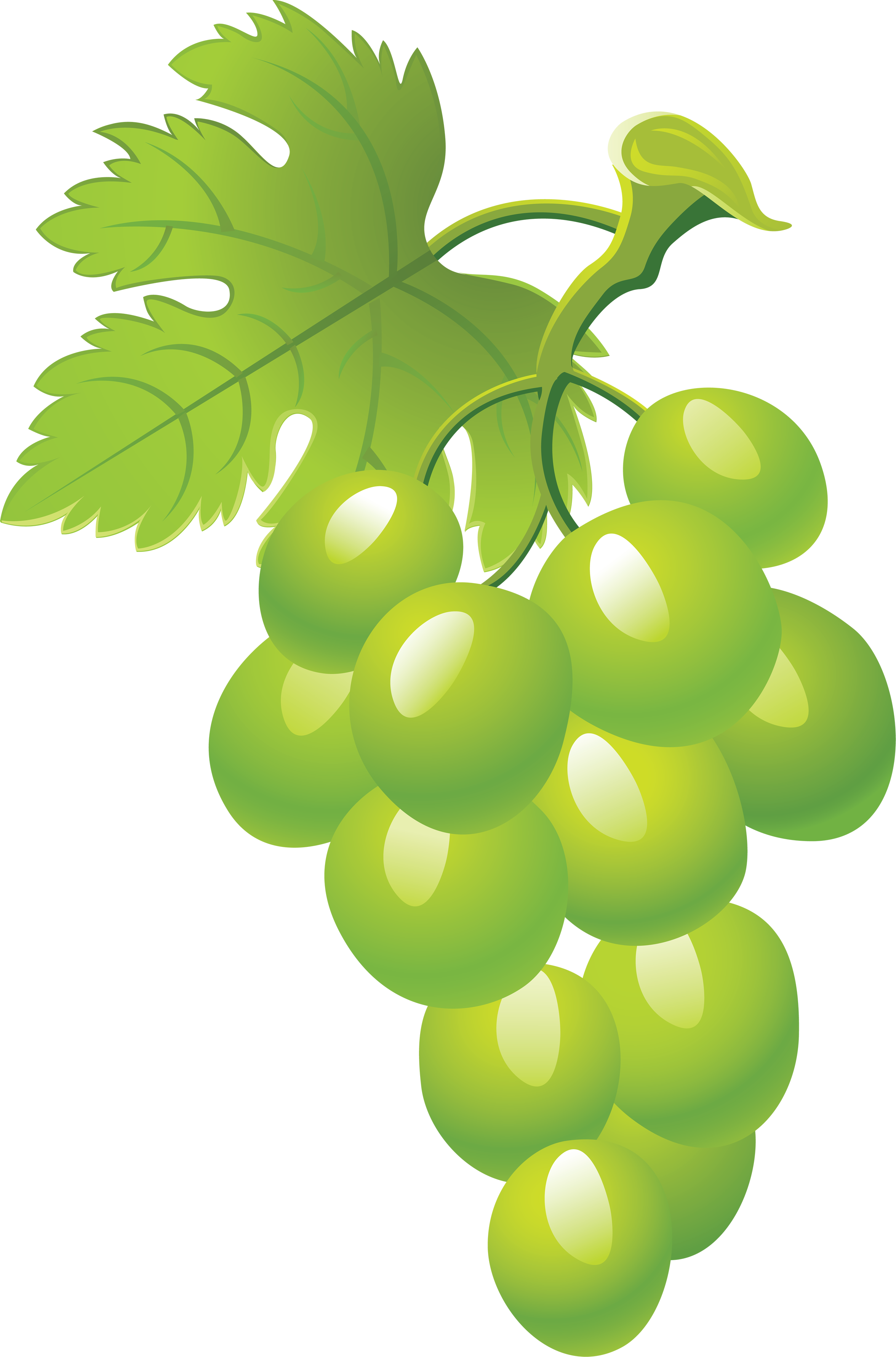 Grapes Clipart Green Grape Pi - Grapes Clip Art