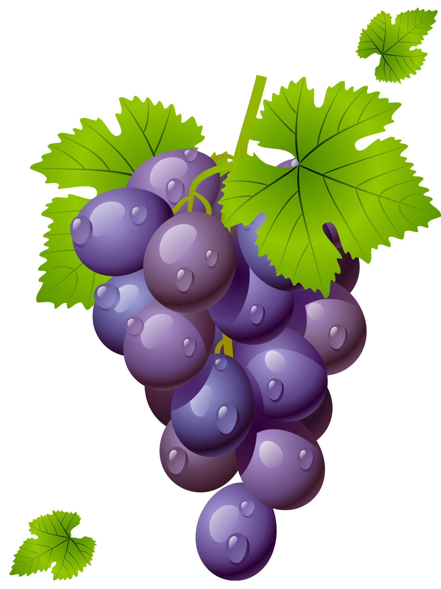 grape free vector