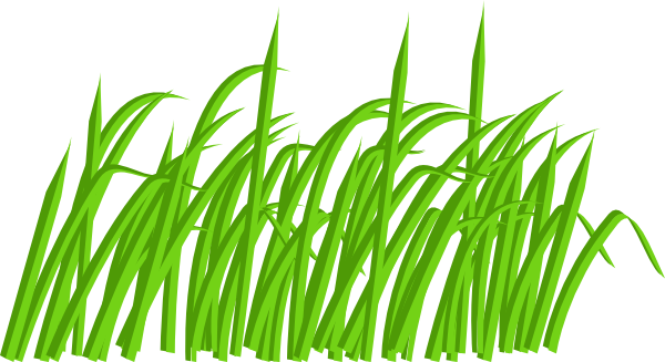 Green Grass Clipart