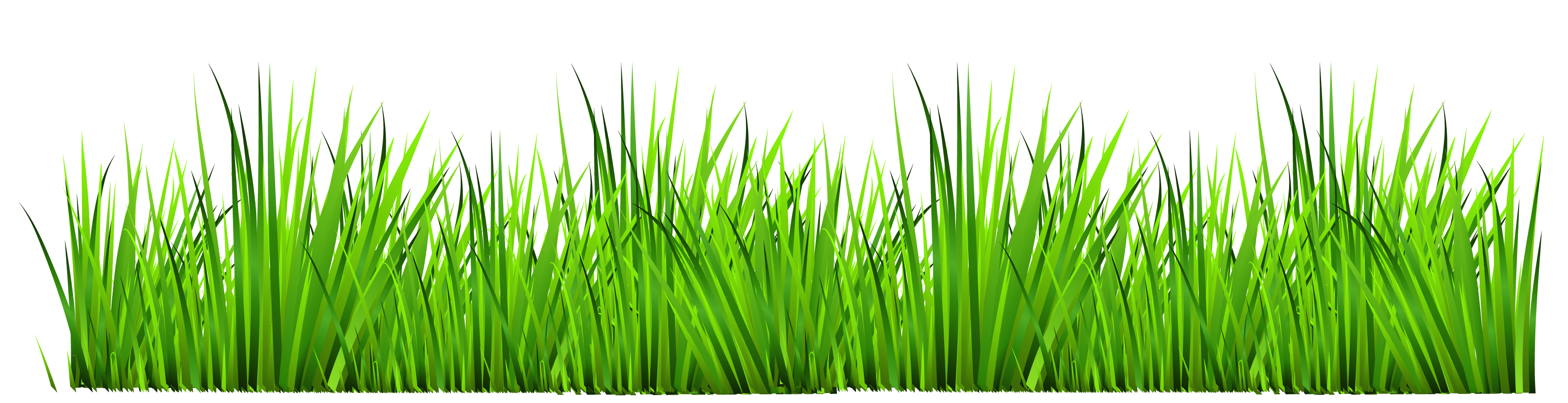Free Grass Clipart