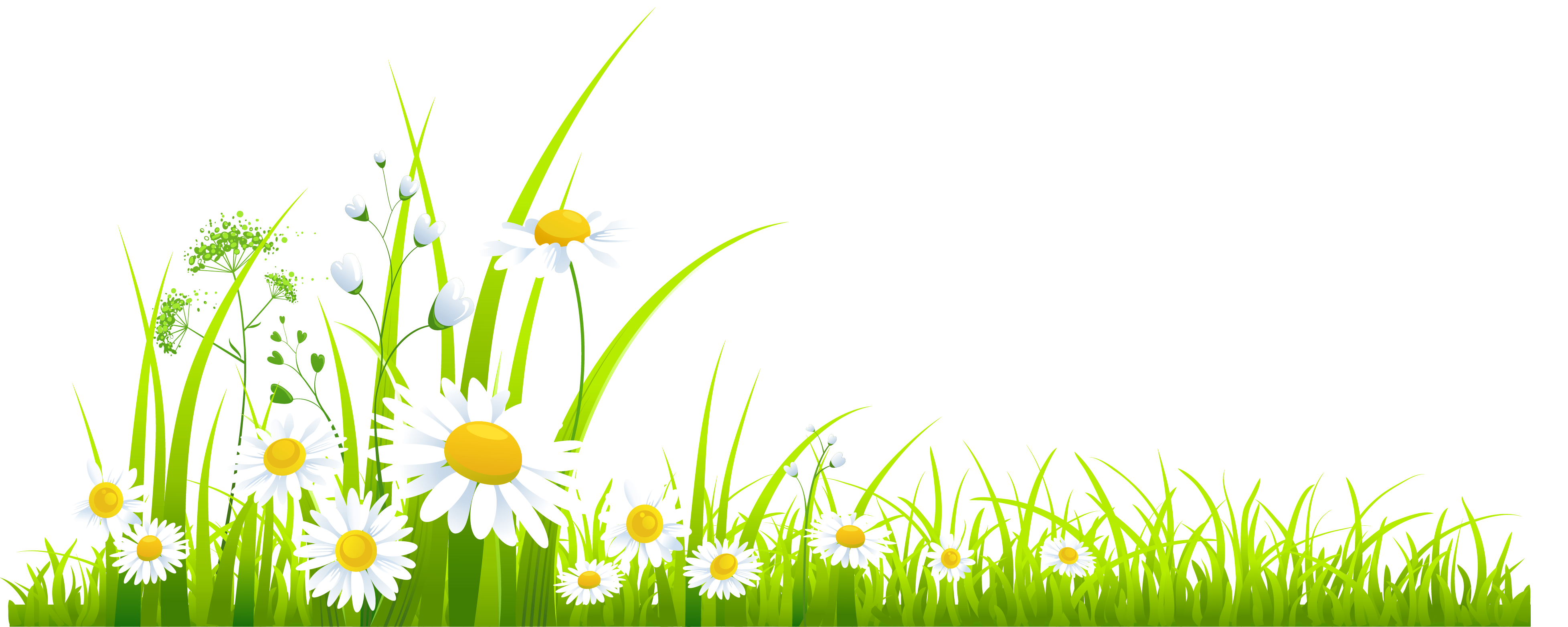 Grass Clipart-Clipartlook.com-3911