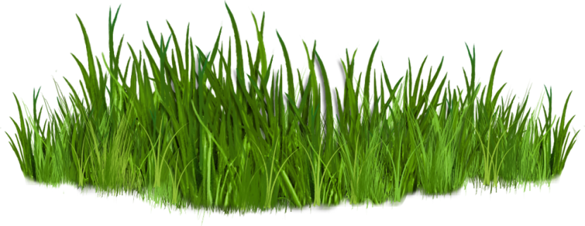 Grass clipart 3