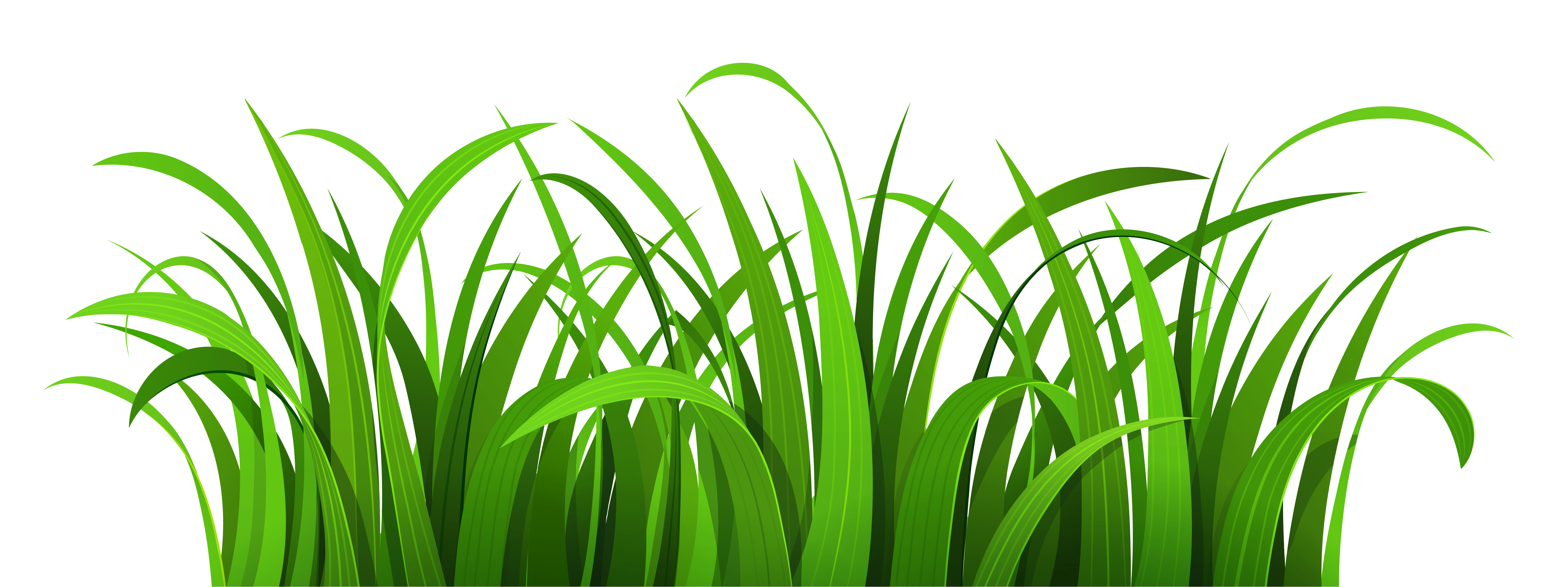 grass clipart - Clip Art Grass