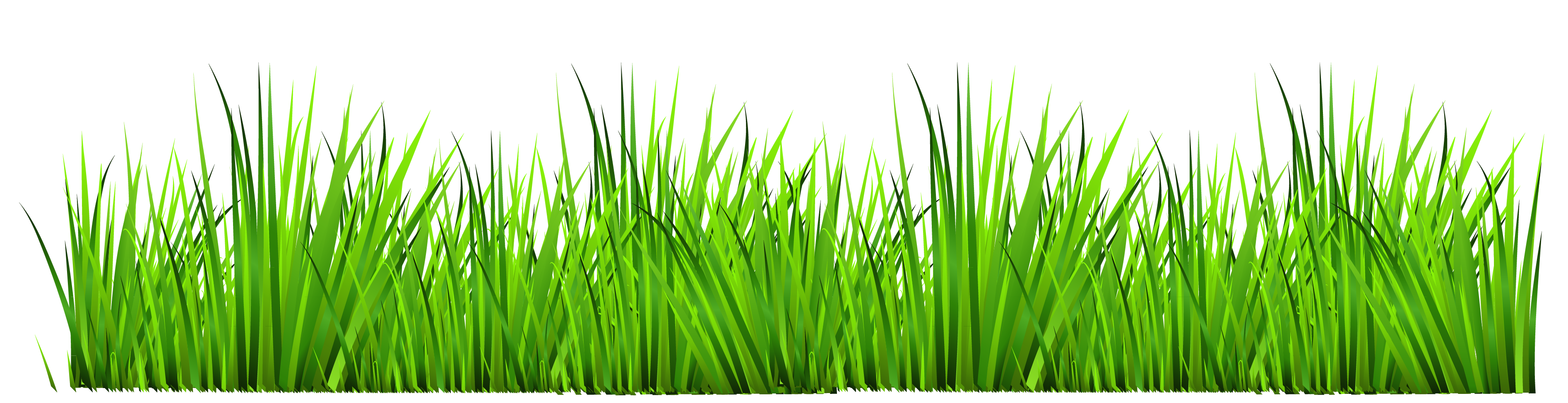 Clipart Info - Grass Clipart