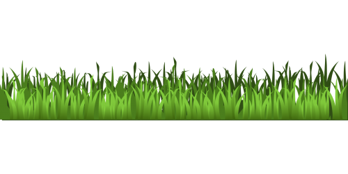 grass clipart black and white