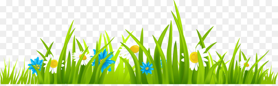 Free content Download Website Clip art - Animated Grass Cliparts 3230*983  transprent Png Free Download - Lawn, Plant, Meadow.