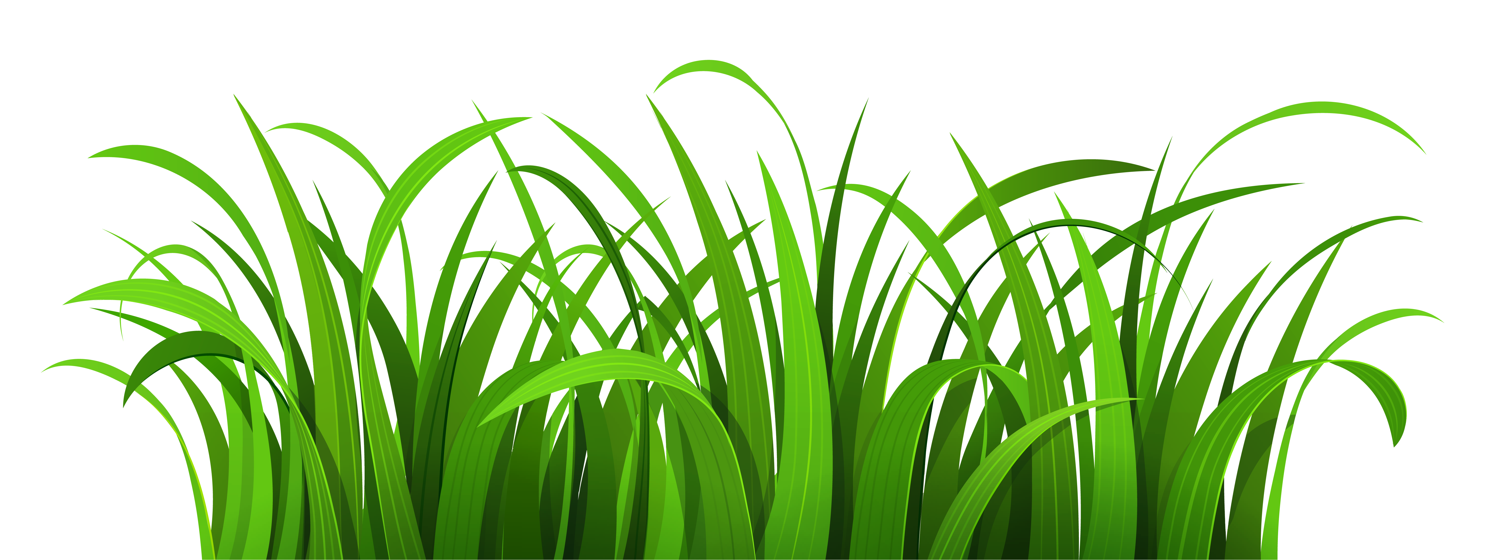 grass clipart black and white