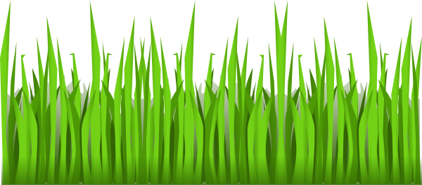 grass clipart transparent 4