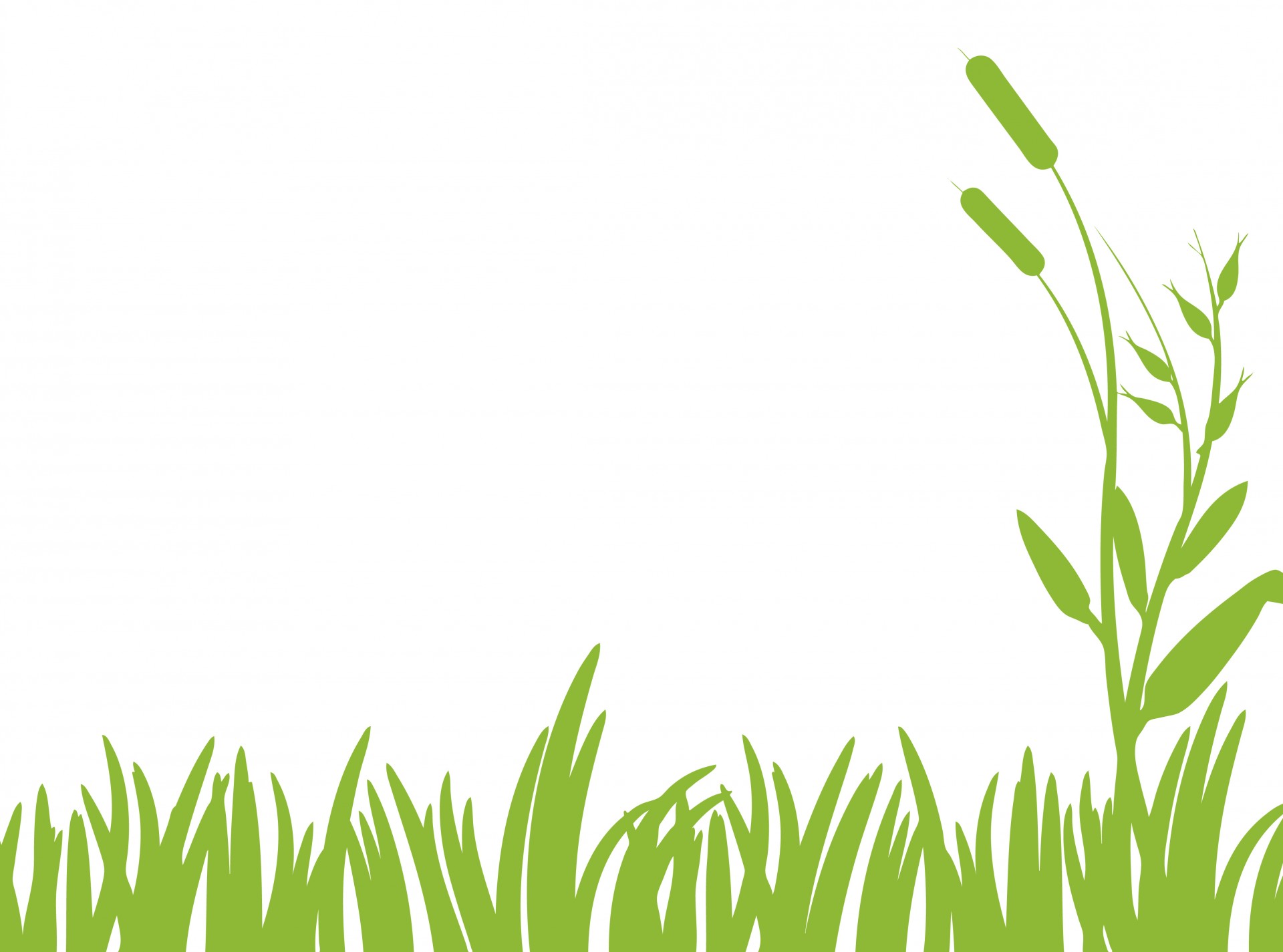 Green Grass Clipart - Grass Clipart