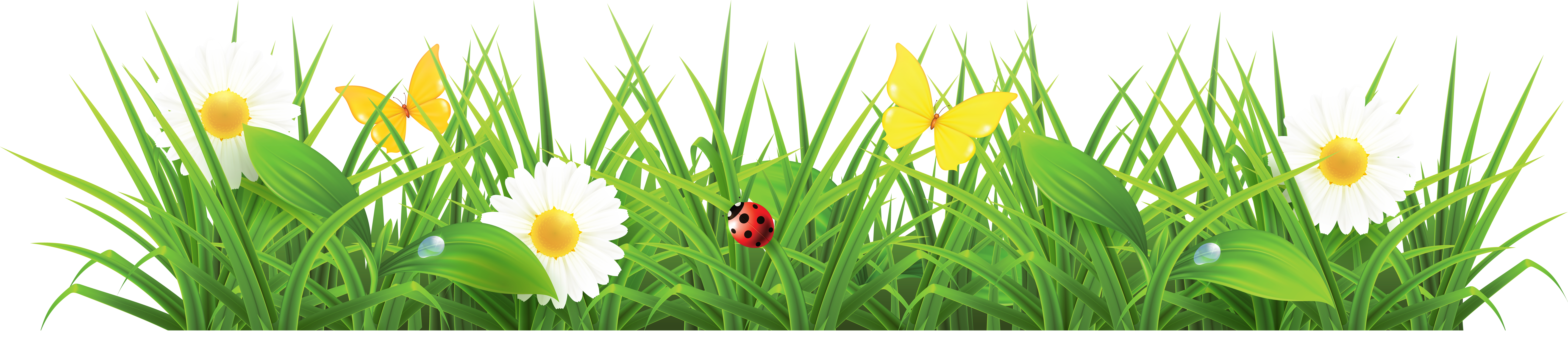 Grass ground with flowers clipart picture 0