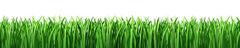 Grass lawn clipart free clipart image