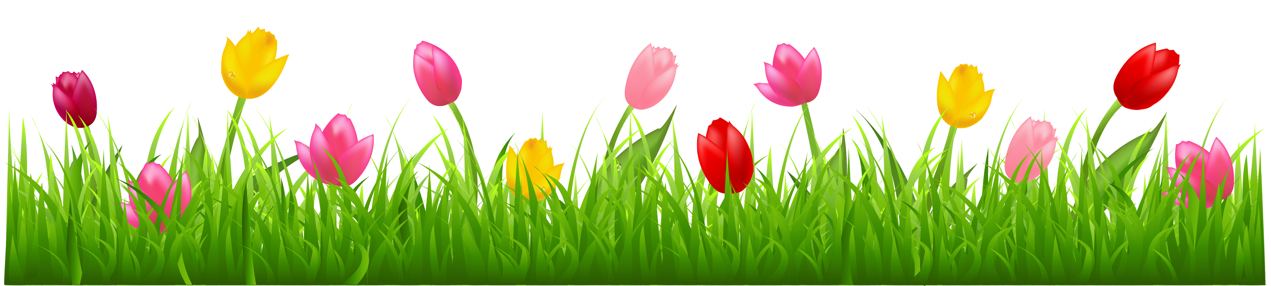 Grass with Colorful Tulips PNG Clipart | Spring Borders | Pinterest | Grasses and Tulip