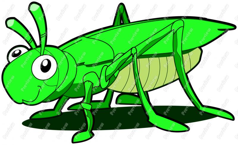 Cute cartoon grasshopper .