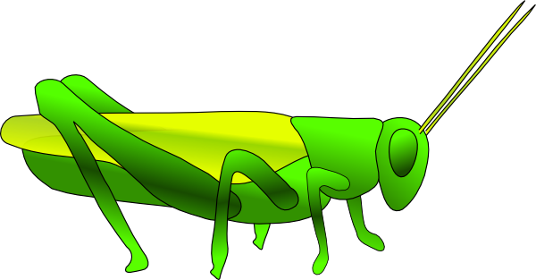 Grasshopper Clip Art - Grasshopper Clip Art
