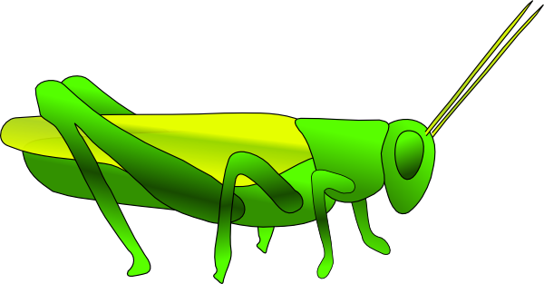 Grasshopper Clip Art - Grasshopper Clipart