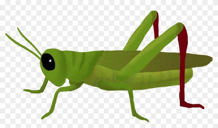 Grasshopper - Grasshopper Clipart
