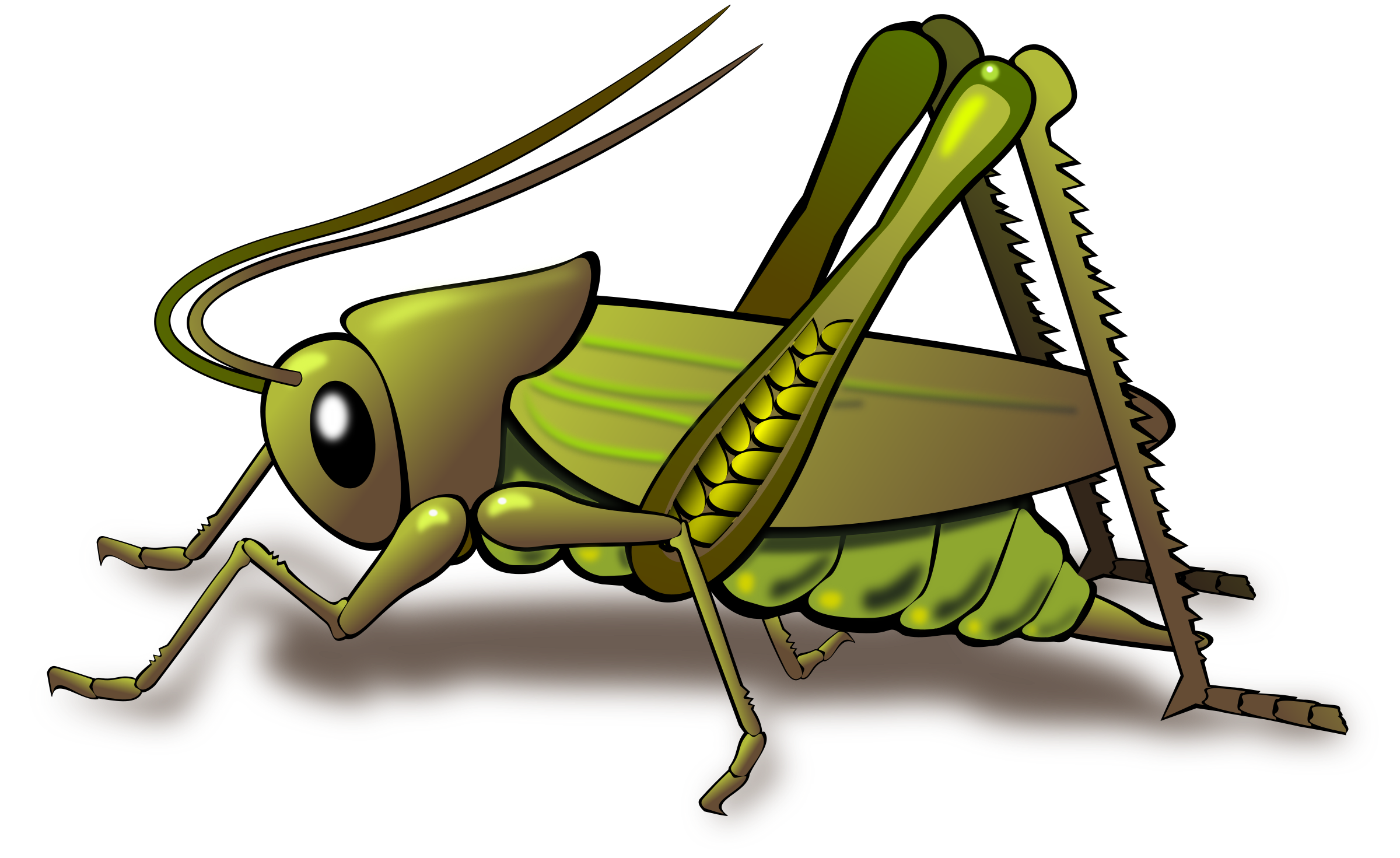 Cute cartoon grasshopper .