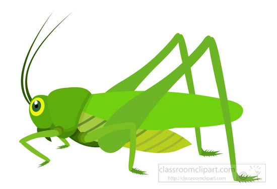 green-grasshopper-insect-clipart-725.jpg