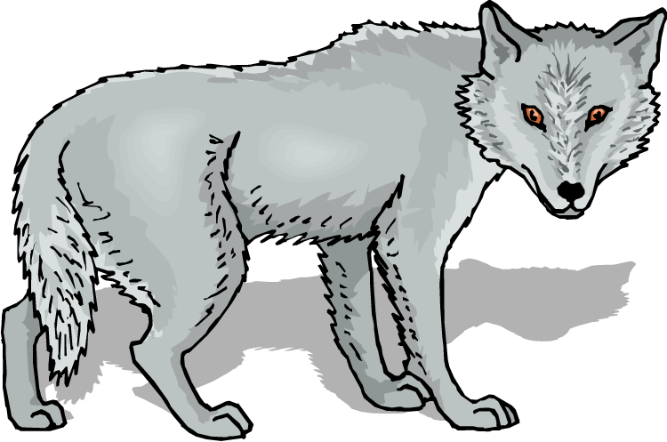 Gray Wolf Clip Art