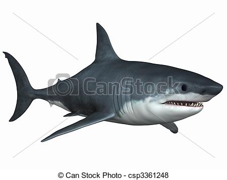 Great White Shark - 3D Render of an Great White Shark