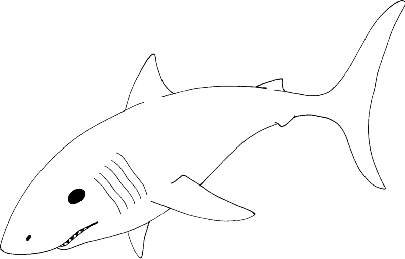 Great White Shark - Clipart l - Great White Shark Clipart