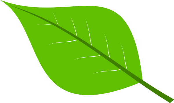 Dark Green Leaf Clip Art