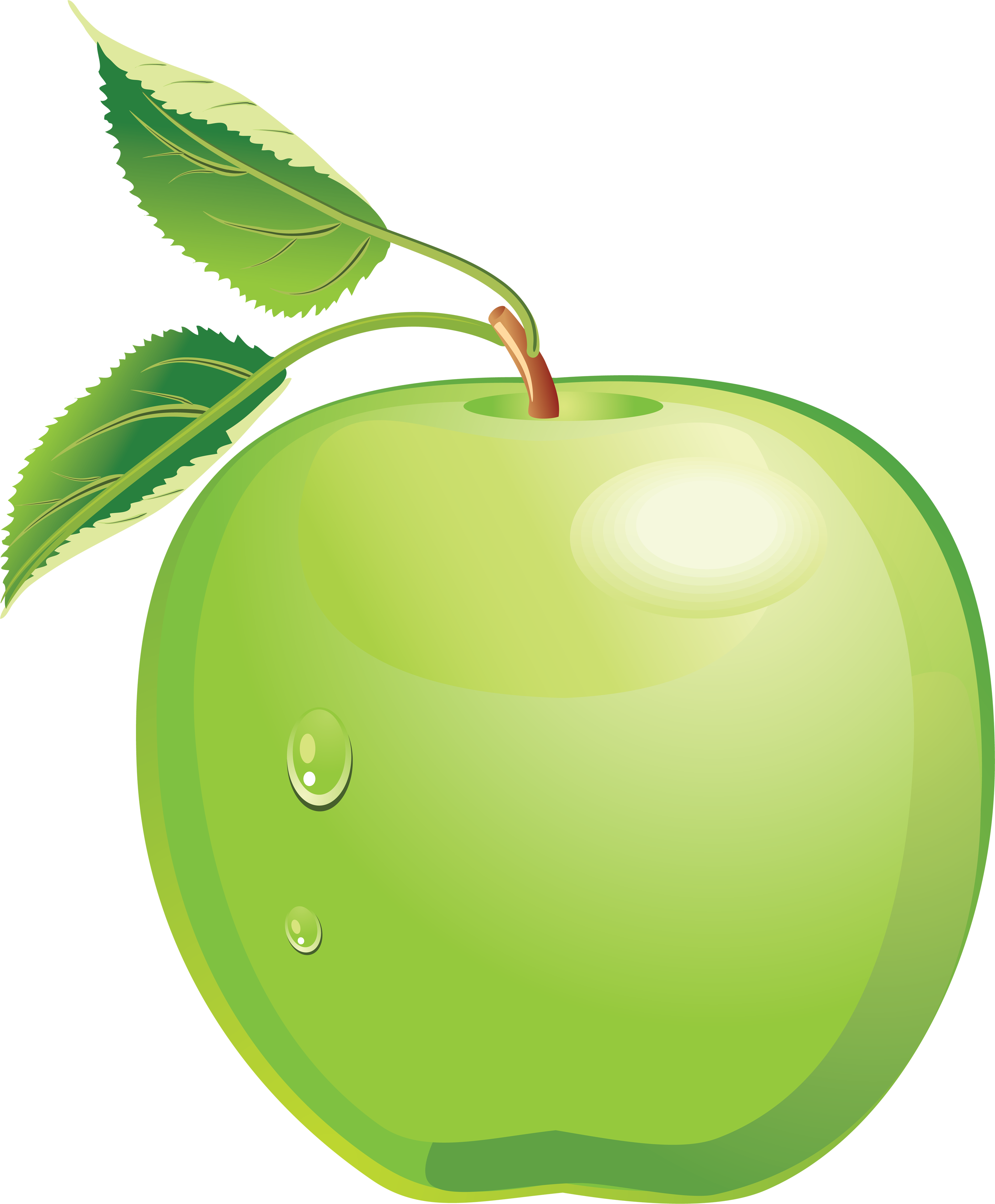 Green Apple Clip Art u2013 Clipart .
