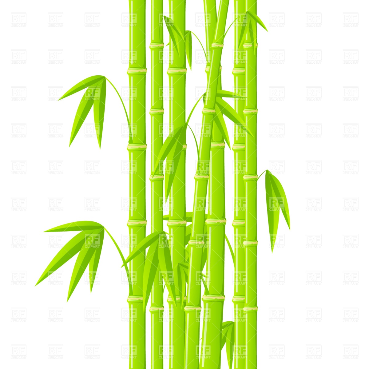 Green Bamboo Stems With Leaves Download Royalty Free Vector Clipart