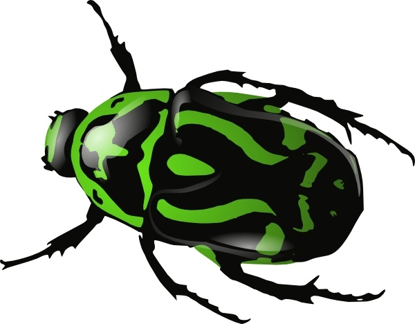 Green Beetle clip art
