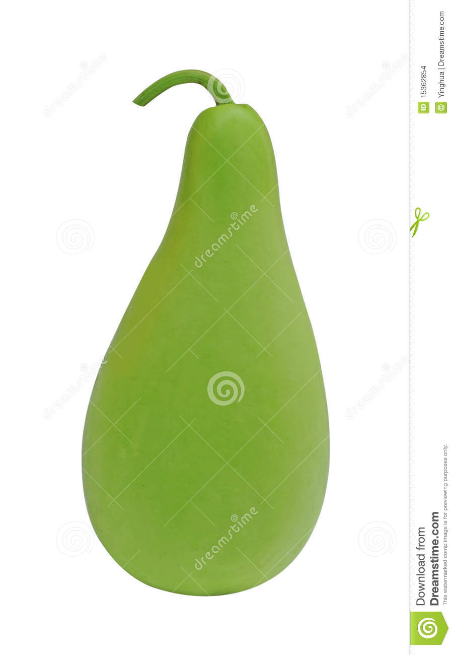 Green Gourd Clipart