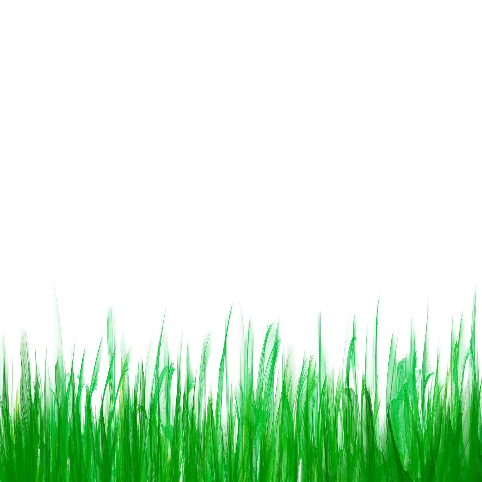 Green Grass Background ...