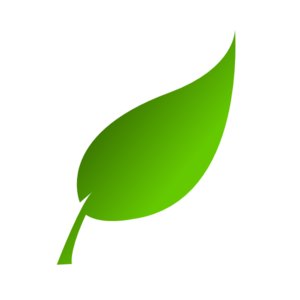 Green Leaf Clip Art - Green Leaf Clipart