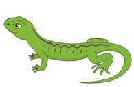 green lizard. Size: 43 Kb