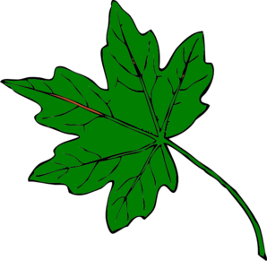 Cartoon Rainforest Leaf .