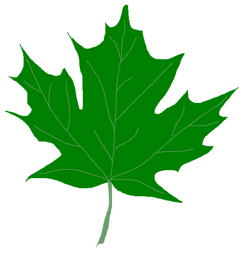 Green Maple Leaf Clipart .