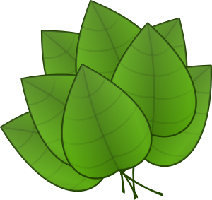 Green pumpkin leaf clipart . - Leaves Clip Art