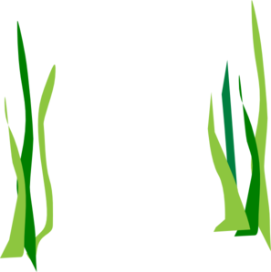 Green Reeds Clip Art At Clker - Seaweed Clip Art