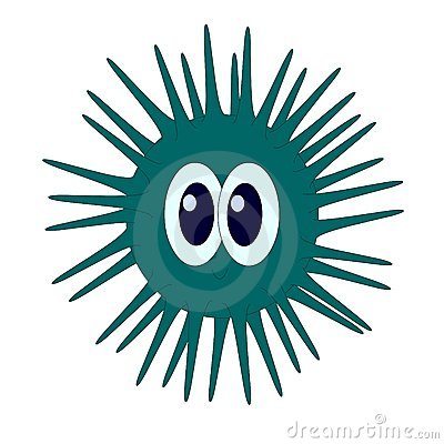 Green Sea-urchin Stock Images - Sea Urchin Clipart