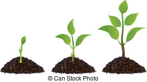 ... Green Young Plants - Gree - Plant Clip Art