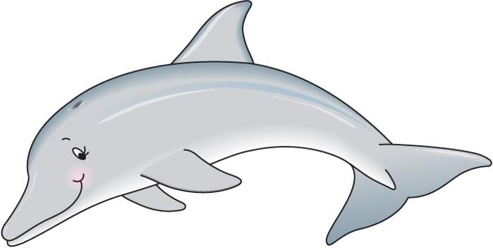 Grey dolphin clip art cwemi images gallery