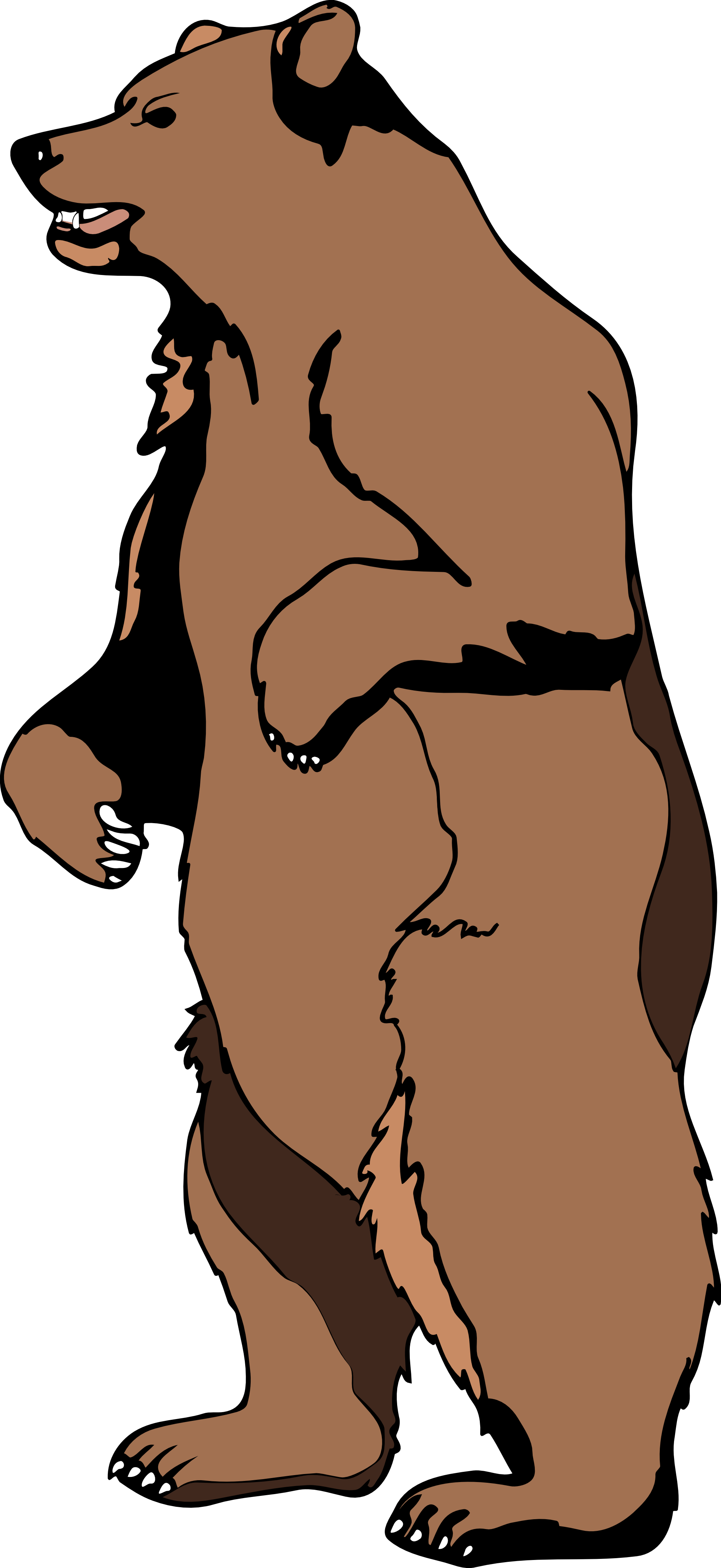 brown grizzly bear clipart. 2